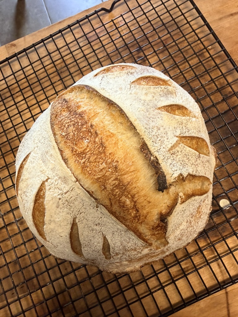 Artisan sourdough loaf scored with a wheat pattern